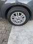 Fiat Punto Evo 5p 1.3 mjt Dynamic eco s&s 85cv - thumbnail 13