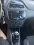 Fiat Punto Evo 5p 1.3 mjt Dynamic eco s&s 85cv - thumbnail 7