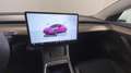 Tesla Model 3 Model 3 Standard rwd Plus Bianco - thumbnail 16