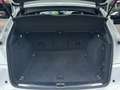 Audi SQ5 3.0 TDI QUATTRO TREKHAAK/CAMERA/NAVI/CRUISE/STOELV Wit - thumbnail 10