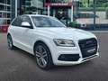 Audi SQ5 3.0 TDI QUATTRO TREKHAAK/CAMERA/NAVI/CRUISE/STOELV Wit - thumbnail 3