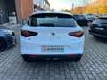 Alfa Romeo Stelvio Stelvio 2020 2.2 t Q4 190cv auto Wit - thumbnail 5