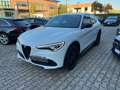 Alfa Romeo Stelvio Stelvio 2020 2.2 t Q4 190cv auto Wit - thumbnail 3