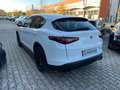 Alfa Romeo Stelvio Stelvio 2020 2.2 t Q4 190cv auto Wit - thumbnail 4