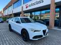Alfa Romeo Stelvio Stelvio 2020 2.2 t Q4 190cv auto Wit - thumbnail 1