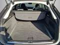 Audi S6 AVANT 3.0 TDI QUATTRO HUD+B&O+ACC+STHZ Navi LED Gris - thumbnail 14