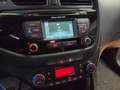 Kia Ceed SW / cee'd SW 1.6 crdi Cool 110cv Grigio - thumbnail 8
