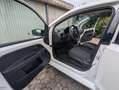 Skoda Citigo Citigo 1.0 MPI Active Weiß - thumbnail 6