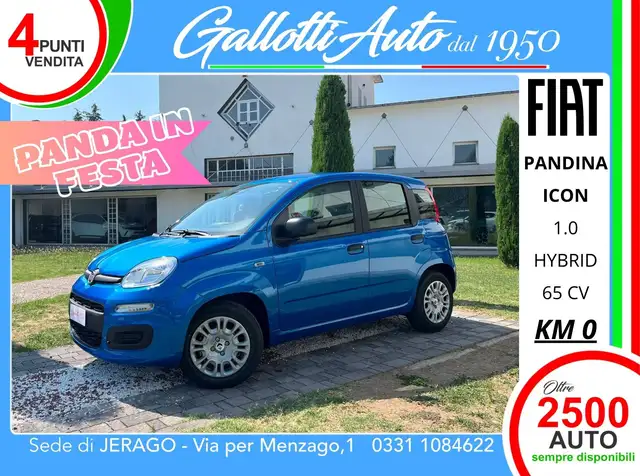 Fiat Panda firefly hybrid Icon s&s 65cv - PANDA IN FESTA