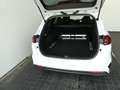 Kia Ceed / cee'd Kia Ceed Sportswagon Silber Weiß - thumbnail 39