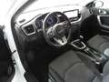 Kia Ceed / cee'd Kia Ceed Sportswagon Silber Weiß - thumbnail 29
