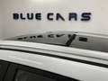 MG ZS Luxury 45 kWh Pano/Navi/Cam/SHZ/Leder Blanc - thumbnail 22