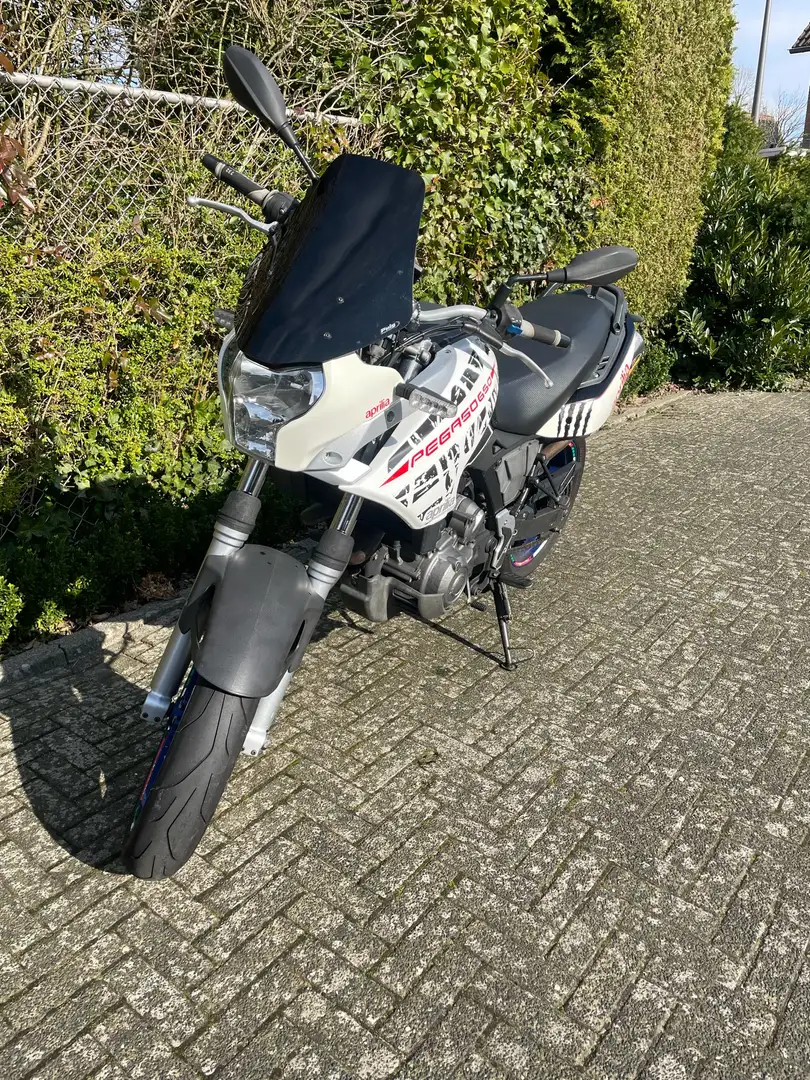 Aprilia Pegaso 650 Strada, Akrapovic, a2 Alb - 1
