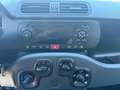 Fiat Panda 1.0 FireFly S&S Hybrid Eas 5 posti no obbligo fina Grigio - thumbnail 11
