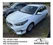Kia Ceed / cee'd 1.0 T-GDI 100 OPF Vision Komf+ Weiß - thumbnail 2