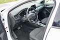 Ford Focus Focus Traveller 1,0 EcoBoost Active Aut. Active Weiß - thumbnail 3