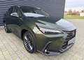 Lexus NX 350h Luxury Line (E-Four) Leder Navi LED Grün - thumbnail 3