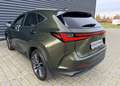 Lexus NX 350h Luxury Line (E-Four) Leder Navi LED Grün - thumbnail 7