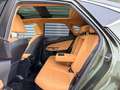 Lexus NX 350h Luxury Line (E-Four) Leder Navi LED Grün - thumbnail 15