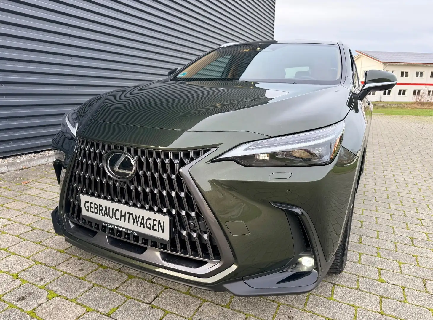 Lexus NX 350h Luxury Line (E-Four) Leder Navi LED Grün - 1