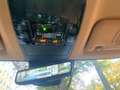 Lexus NX 350h Luxury Line (E-Four) Leder Navi LED Grün - thumbnail 11