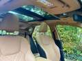 Lexus NX 350h Luxury Line (E-Four) Leder Navi LED Grün - thumbnail 10