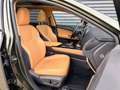 Lexus NX 350h Luxury Line (E-Four) Leder Navi LED Grün - thumbnail 14
