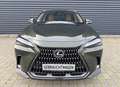 Lexus NX 350h Luxury Line (E-Four) Leder Navi LED Grün - thumbnail 2