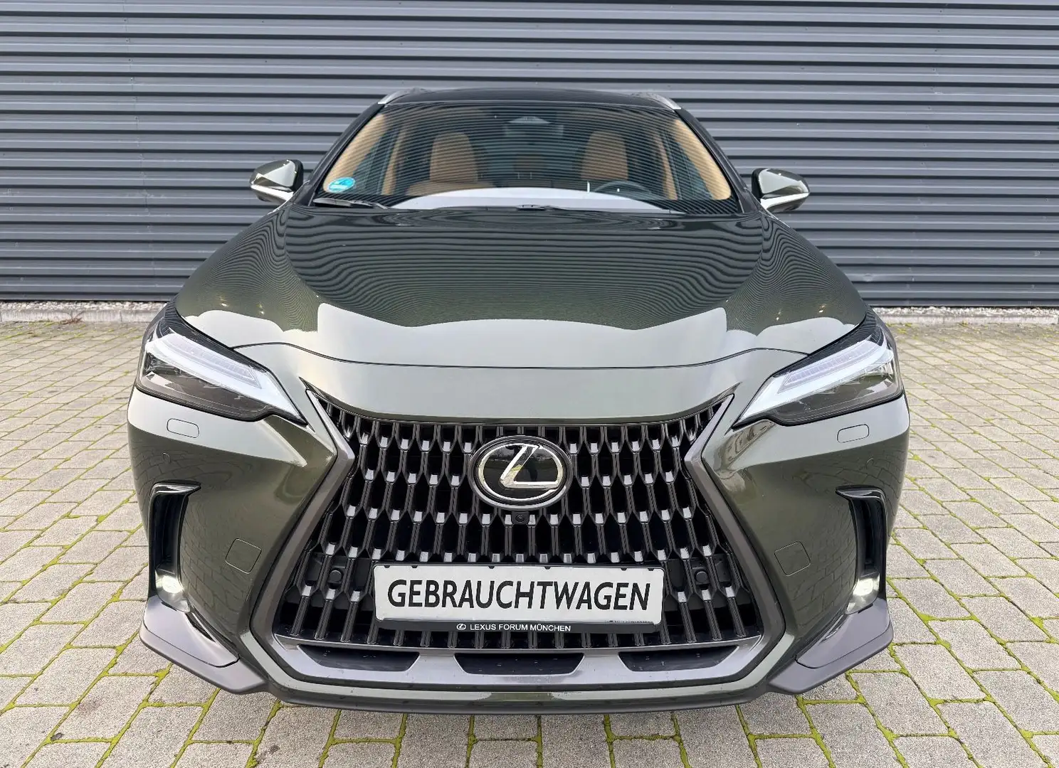 Lexus NX 350h Luxury Line (E-Four) Leder Navi LED Grün - 2