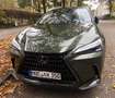 Lexus NX 350h Luxury Line (E-Four) Leder Navi LED Grün - thumbnail 1