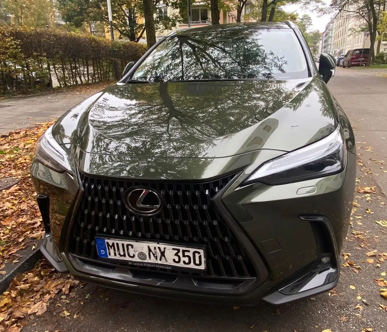 Lexus NX 350h Luxury Line (E-Four) Leder Navi LED Grün - 1