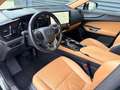 Lexus NX 350h Luxury Line (E-Four) Leder Navi LED Grün - thumbnail 10