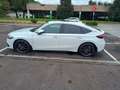 Honda Civic 2.0 hev Advance ecvt Bianco - thumbnail 5
