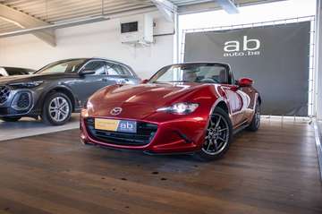 CABRIO, BOSE, NAVI, LEDER, ZETELVERWARMING, BLIND SPOT