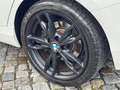 BMW 120 Advantage LED Navi SHZ M-Felge Autom. Blanc - thumbnail 23