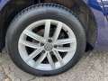 Volkswagen Golf 1.6 TDI DSG Comfortline Var. Navi ACC 2.Hd. Blau - thumbnail 15