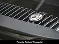 Porsche 992 911 Turbo 50 Jahre Burmester Liftsystem-VA Grün - thumbnail 11