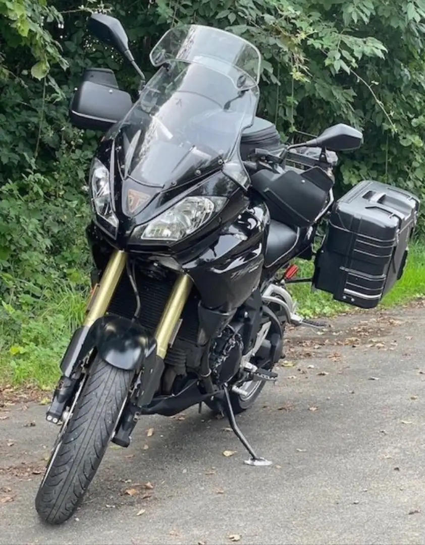 Triumph Tiger 1050 Triumph Tiger 1050 Reiseenduro in Vollausstattung White - 1