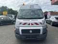 Fiat Ducato 120 1.Hand Weiß - thumbnail 2