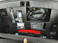 Ora Funky Cat Funky Cat 300 Pro300 48 kWh LED Batteriezertifiakt Blau - thumbnail 16