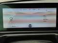 Ora Funky Cat Funky Cat 300 Pro300 48 kWh LED Batteriezertifiakt Blau - thumbnail 11
