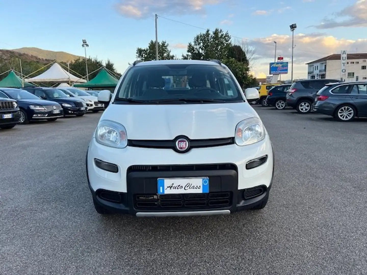 Fiat Panda 4x4 0.9 TwinAir 85CV E6D-Temp Blanco - 2
