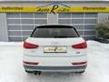 Audi Q3 2,0 TDI Intense quattro S-tronic *LED*PDC*Sitzh... Weiß - thumbnail 30