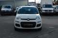 Fiat Panda Urban 1.0 Hybrid-Elektro"KLIMA"PDC"DAB" White - thumbnail 2