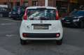 Fiat Panda Urban 1.0 Hybrid-Elektro"KLIMA"PDC"DAB" Wit - thumbnail 5