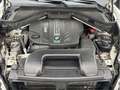 BMW X5 xDrive40d Comfort-Paket/ Innovations-Paket Weiß - thumbnail 14
