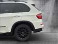 BMW X5 xDrive40d Comfort-Paket/ Innovations-Paket Weiß - thumbnail 17