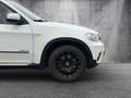 BMW X5 xDrive40d Comfort-Paket/ Innovations-Paket Weiß - thumbnail 16