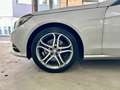 Mercedes-Benz E 220 BlueTec 4Matic Avantgarde+AHK+LED+NAVI+ILS Stříbrná - thumbnail 29