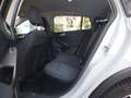 Ford Focus Wagon 1.5 EcoBoost 150PK Active Business / Adaptiv Wit - thumbnail 29